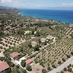 Orfanos 3