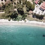 Orfanos 3