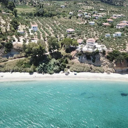 Orfanos 3