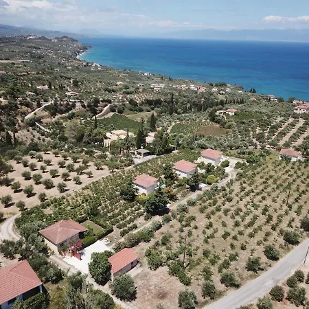 Orfanos 3