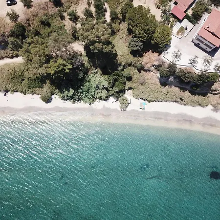 Orfanos 3